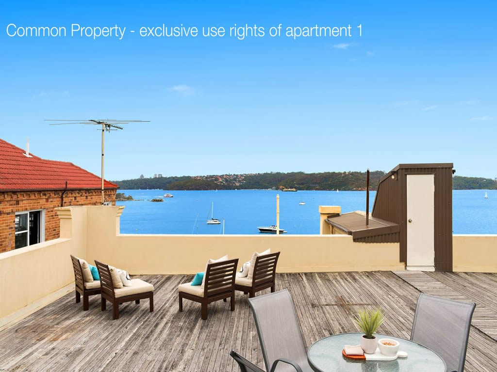 Buyers Agent Purchase - Vaucluse, Sydney - Rooftop Terrace