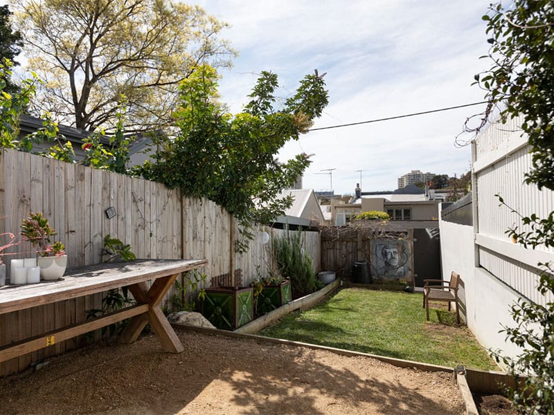 Home Buyer in Paddington, Sydney - Backyard