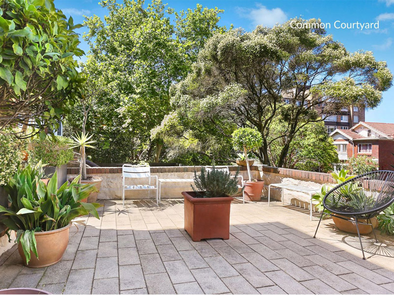 Home Buyer in Ocean St Bondi, Sydney - Courtyard